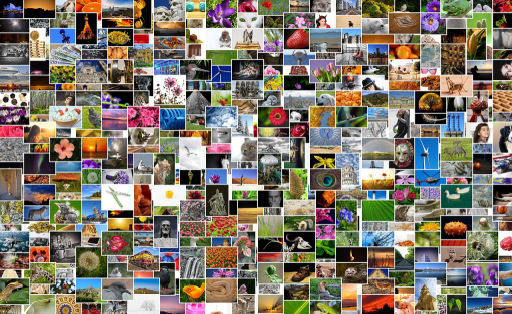  Bulk Image Compression: How to Optimize 100+ Images at Once